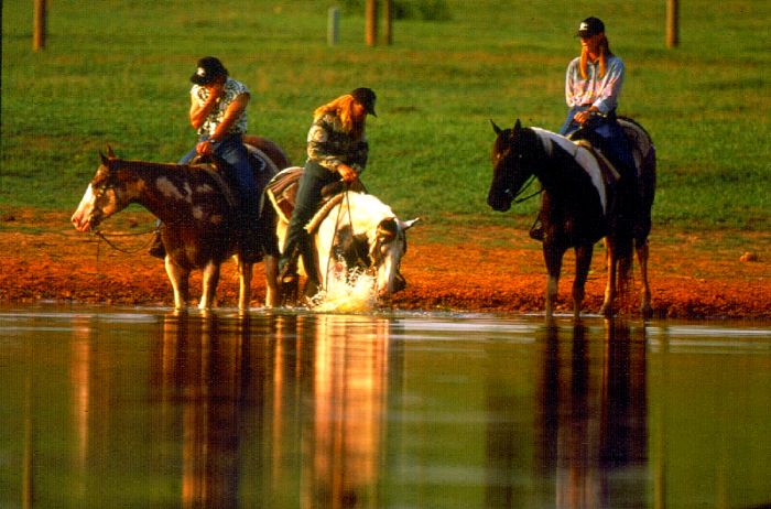 Heartland of Georgia Ranch