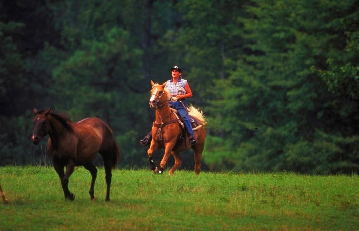 Heartland of Georgia Ranch