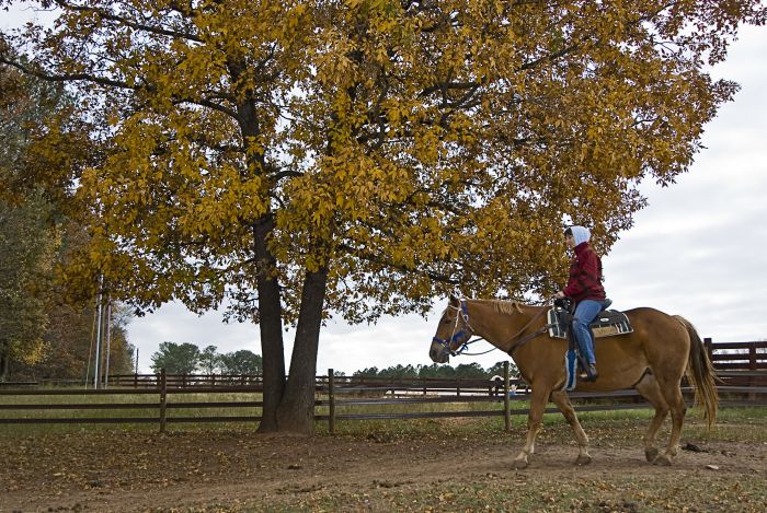 Heartland of Georgia Ranch