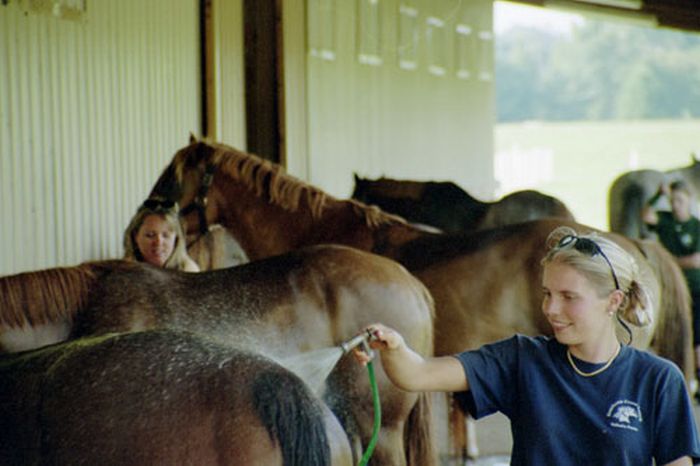 Heartland of Georgia Ranch