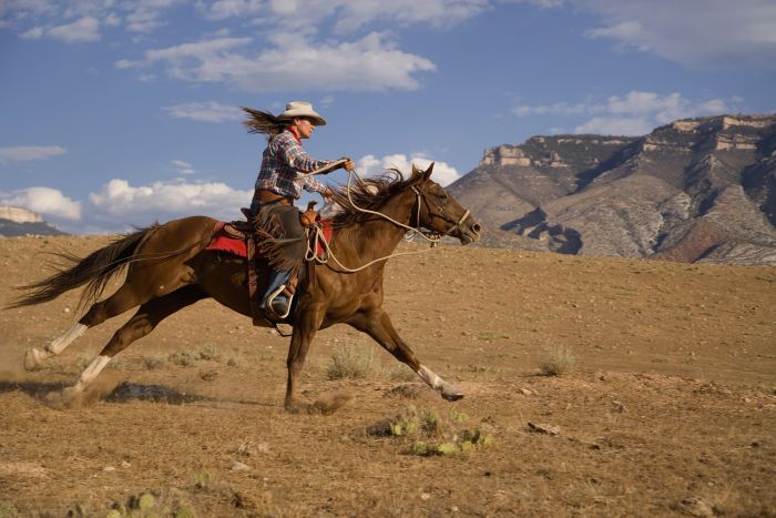 Bighorn Mountain Ranch