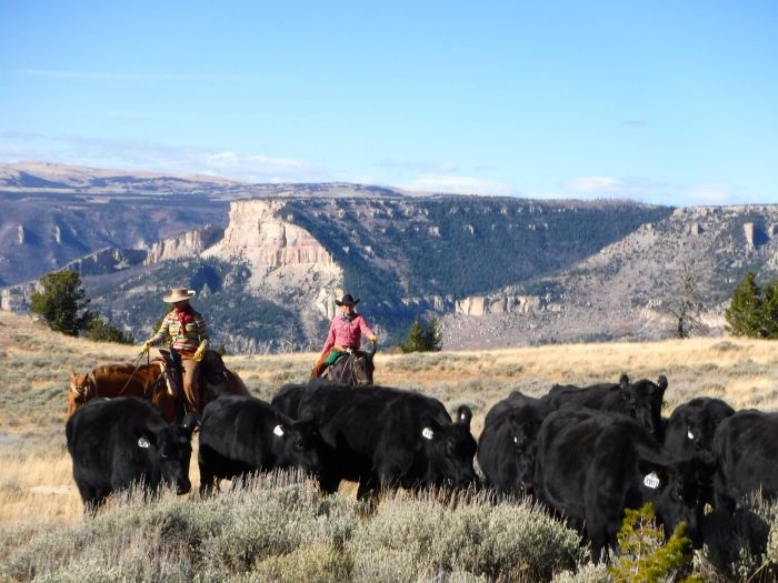 Bighorn Mountain Ranch