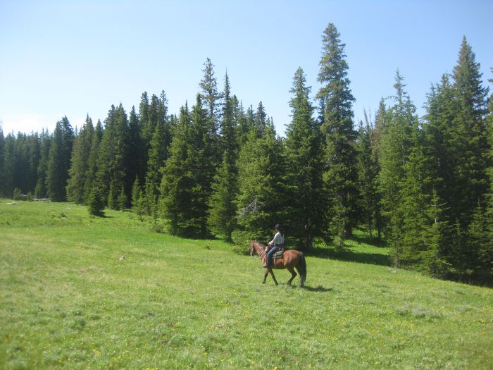 Bighorn Mountain Ranch