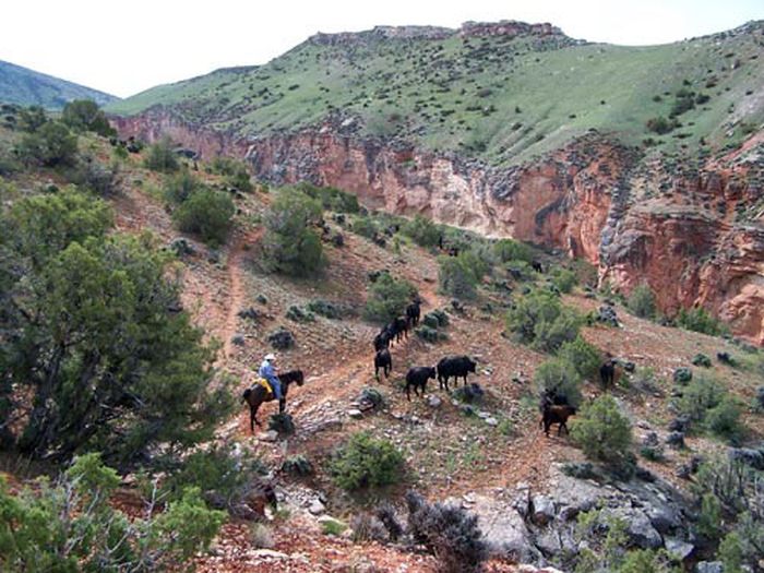 Bighorn Mountain Ranch