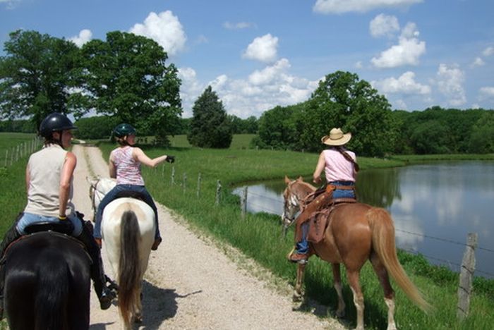 Missouri Foxtrotter-Ritt