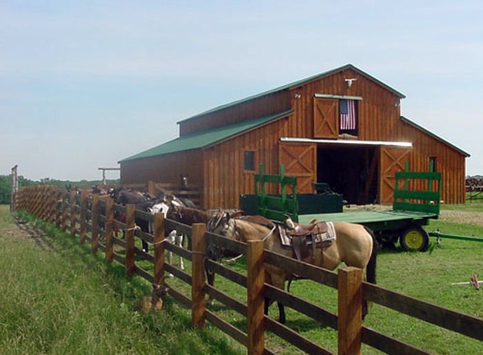 Missouri Foxtrotter-Ritt