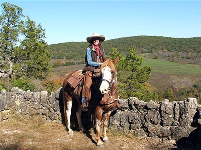 Missouri Foxtrotter-Ritt