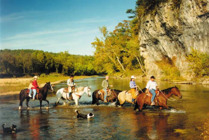 Missouri Foxtrotter-Ritt