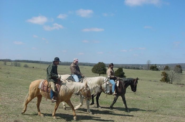 Missouri Foxtrotter-Ritt