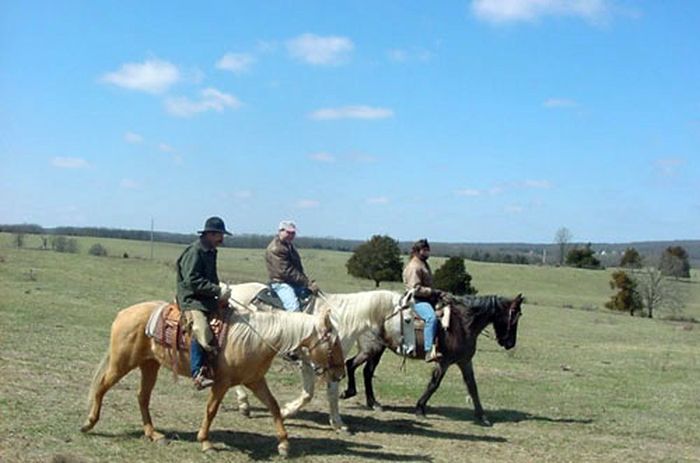 Missouri Foxtrotter-Ritt