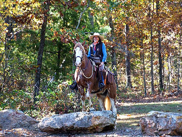 Missouri Foxtrotter-Ritt