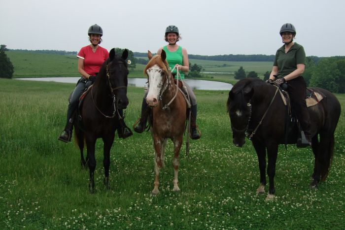 Missouri Foxtrotter-Ritt