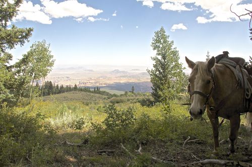 Utah Backcountry Lodge und Dixi Forest Ritt