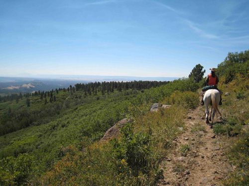 Utah Backcountry Lodge und Dixi Forest Ritt