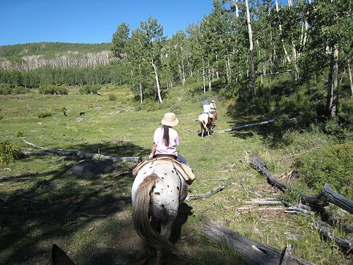 Utah Backcountry Lodge und Dixi Forest Ritt