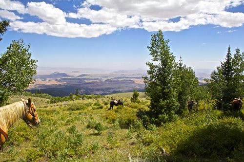Utah Backcountry Lodge und Dixi Forest Ritt