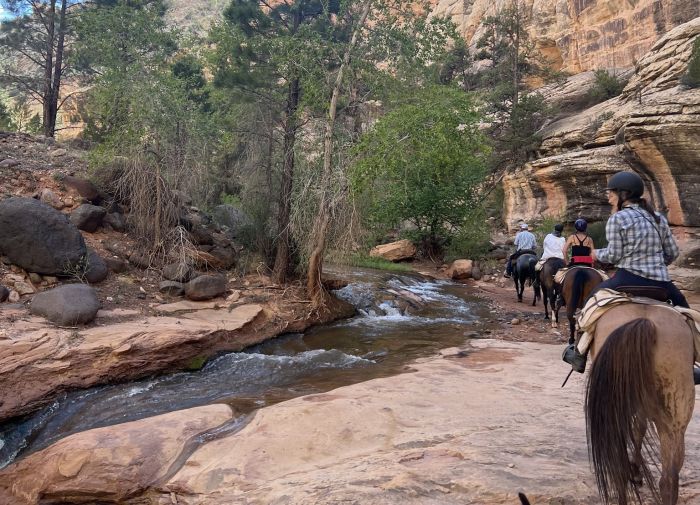 Utah Backcountry Lodge und Dixi Forest Ritt