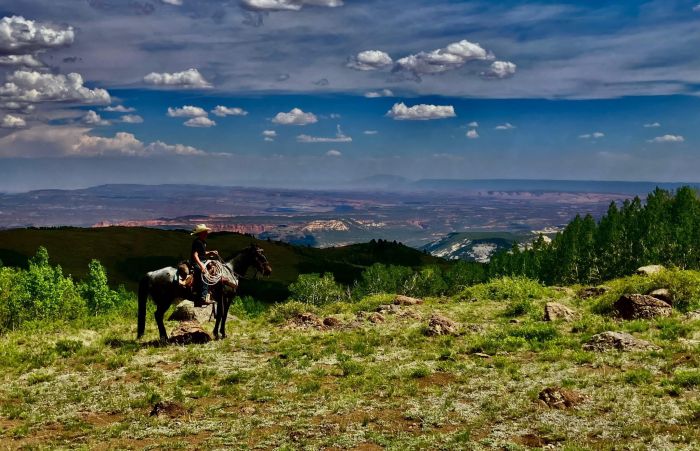 Utah Backcountry Lodge und Dixi Forest Ritt