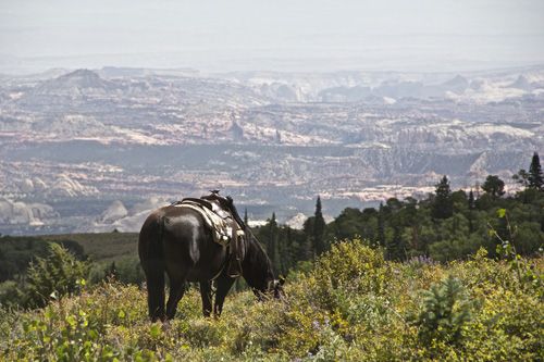 Utah Backcountry Lodge und Dixi Forest Ritt