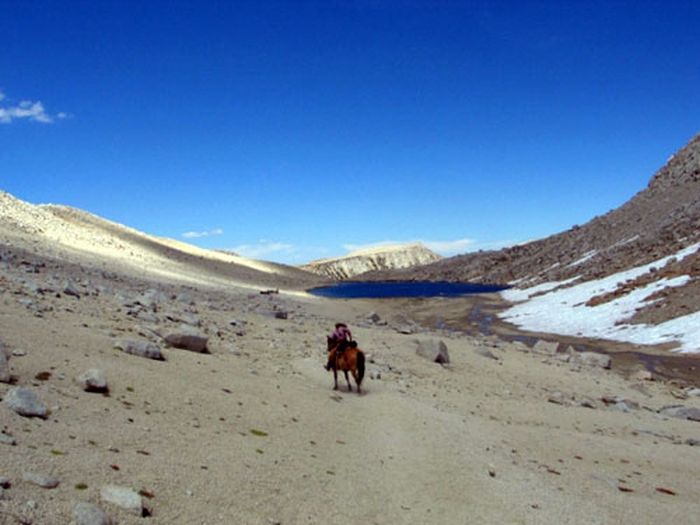 High Sierras Packpferde-Touren