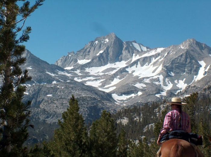 High Sierras Packpferde-Touren