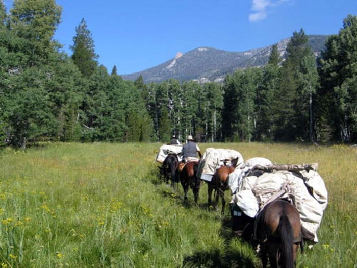 High Sierras Packpferde-Touren