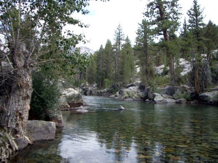 High Sierras Packpferde-Touren