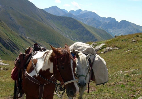 Sangre de Cristo Pack Trips