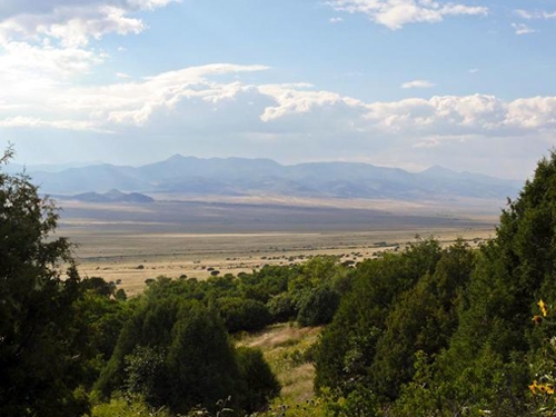 Sangre de Cristo Pack Trips