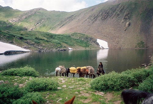 The Hot Springs Pack Trip