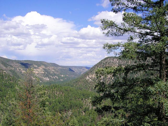 Chiricahua Apache Ride in der Gila-Wildnis