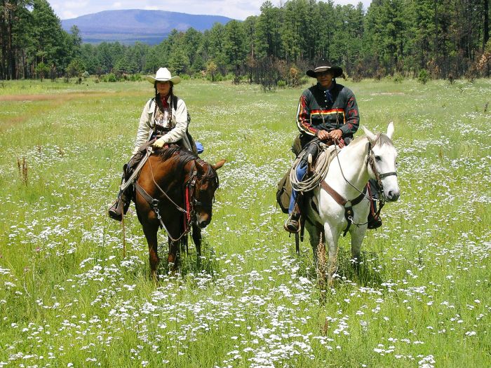 Chiricahua Apache Ride in der Gila-Wildnis