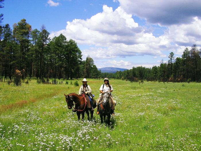 Chiricahua Apache Ride in der Gila-Wildnis