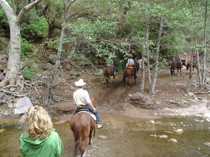 Cattle Ranch in Pleasant Valley