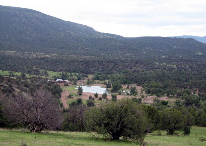 Cattle Ranch in Pleasant Valley