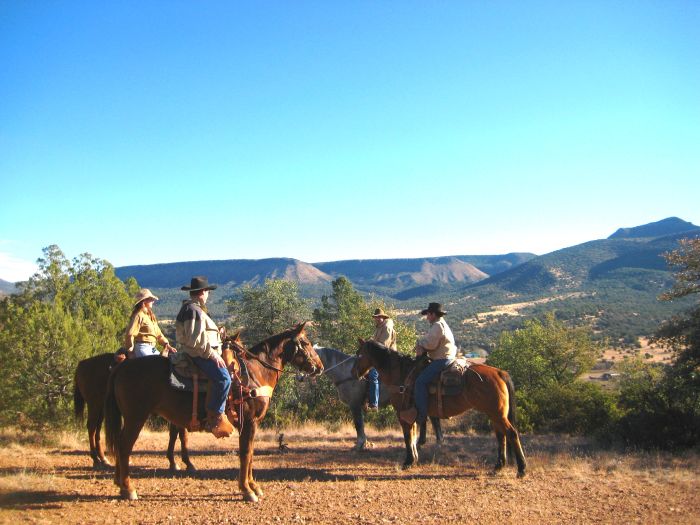 Cattle Ranch in Pleasant Valley