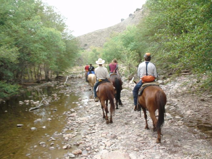 Cattle Ranch in Pleasant Valley