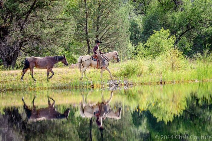 Cattle Ranch in Pleasant Valley