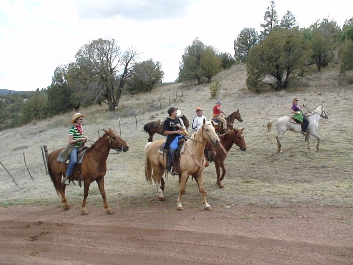 Cattle Ranch in Pleasant Valley