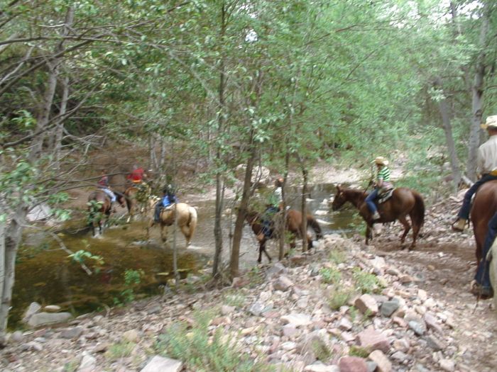 Cattle Ranch in Pleasant Valley