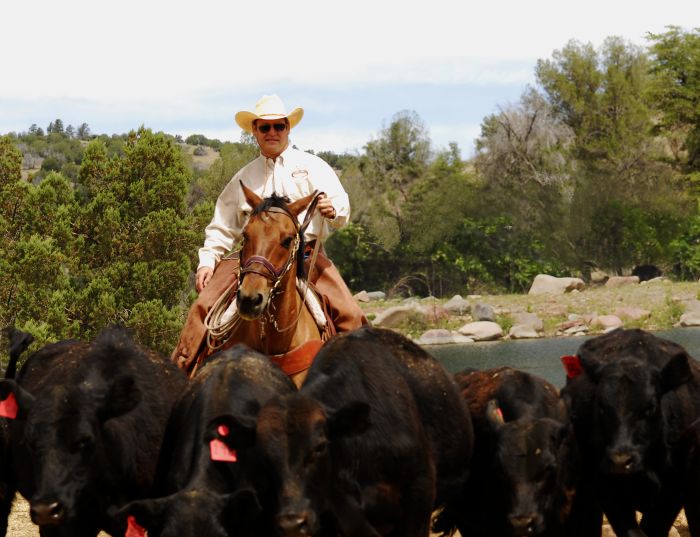 Cattle Ranch in Pleasant Valley