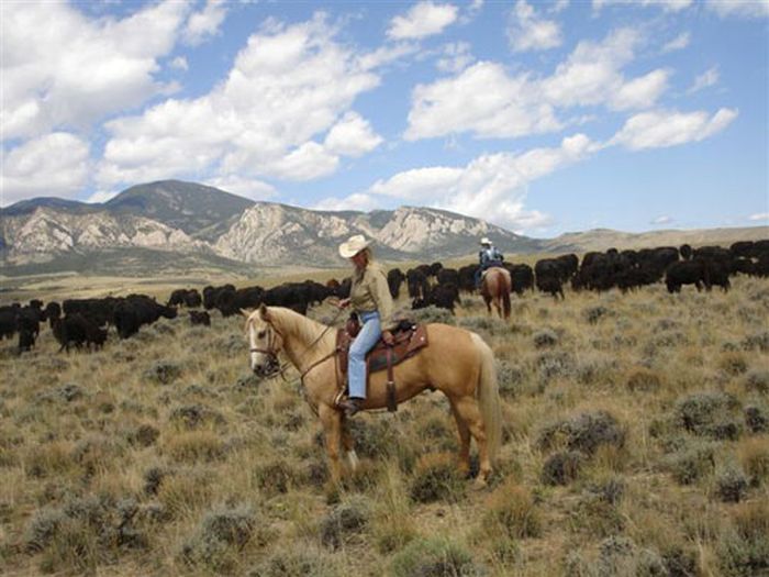 Lonesome Spur Ranch