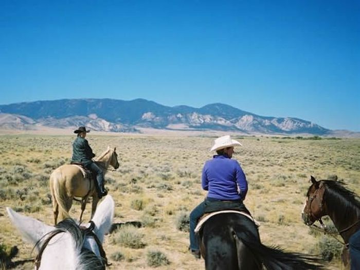 Lonesome Spur Ranch