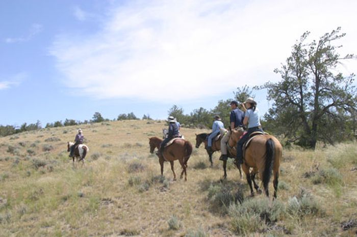 Lonesome Spur Ranch