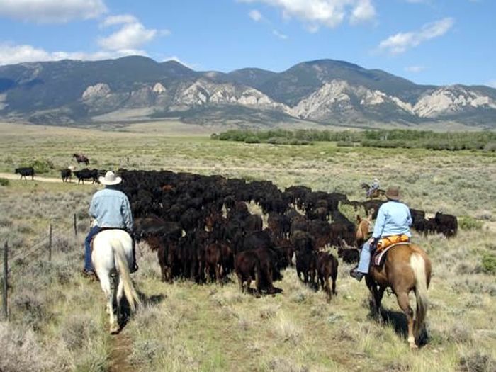 Lonesome Spur Ranch