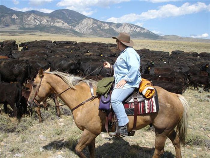 Lonesome Spur Ranch