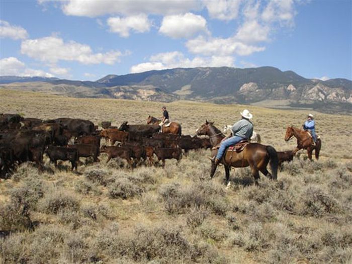 Lonesome Spur Ranch