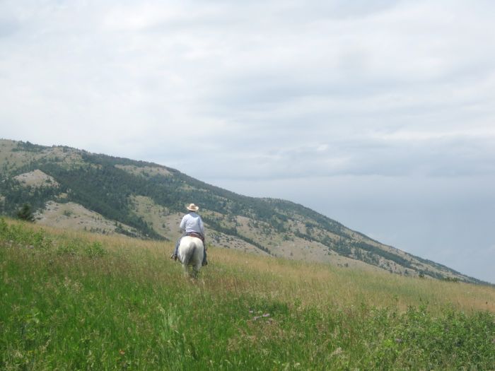 Lonesome Spur Ranch