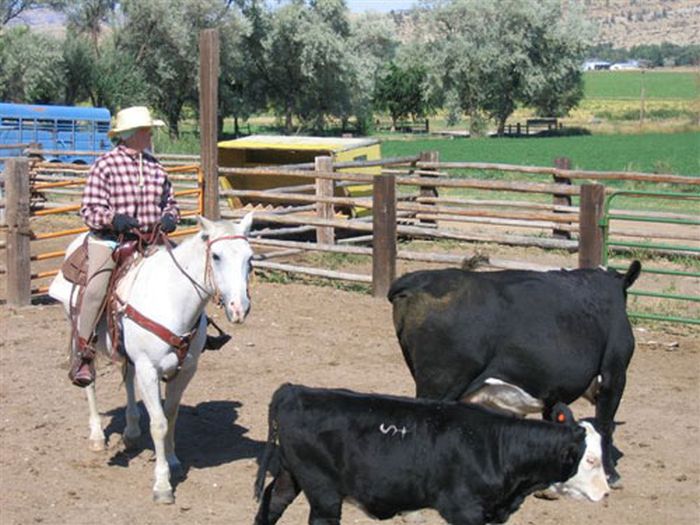 Lonesome Spur Ranch