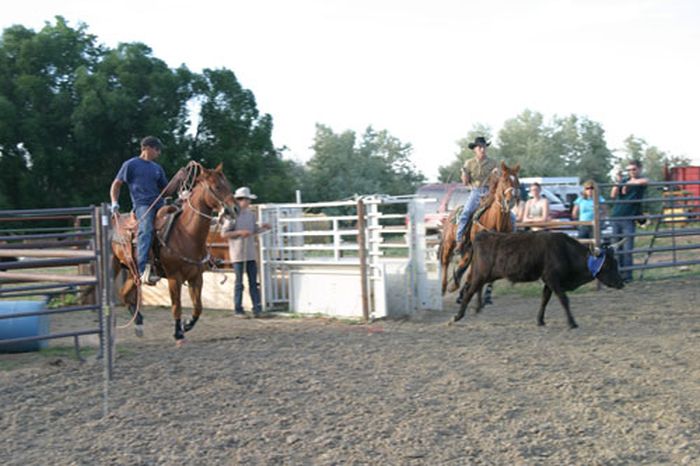 Lonesome Spur Ranch